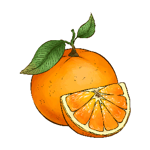 Orange_Essential_Oil_used_in_CDB_Oil_products.